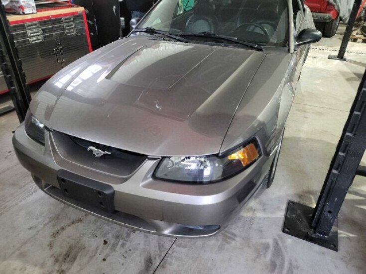 Photo for 2001 Ford Mustang